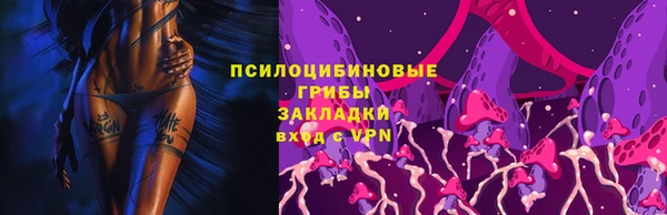 гидра Сатка