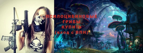 хмурый Алексеевка