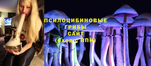 амф Абинск