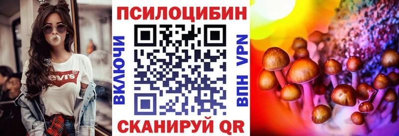 MEGA онион  закладки  Исилькуль  Псилоцибиновые грибы мицелий 
